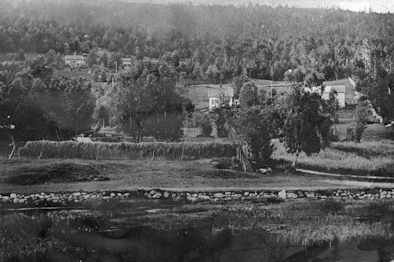 Småbruk i Rekneslia med Kringsjå bak til venstre og hesjer i front. Foto: Romsdalsmuseets arkiv.